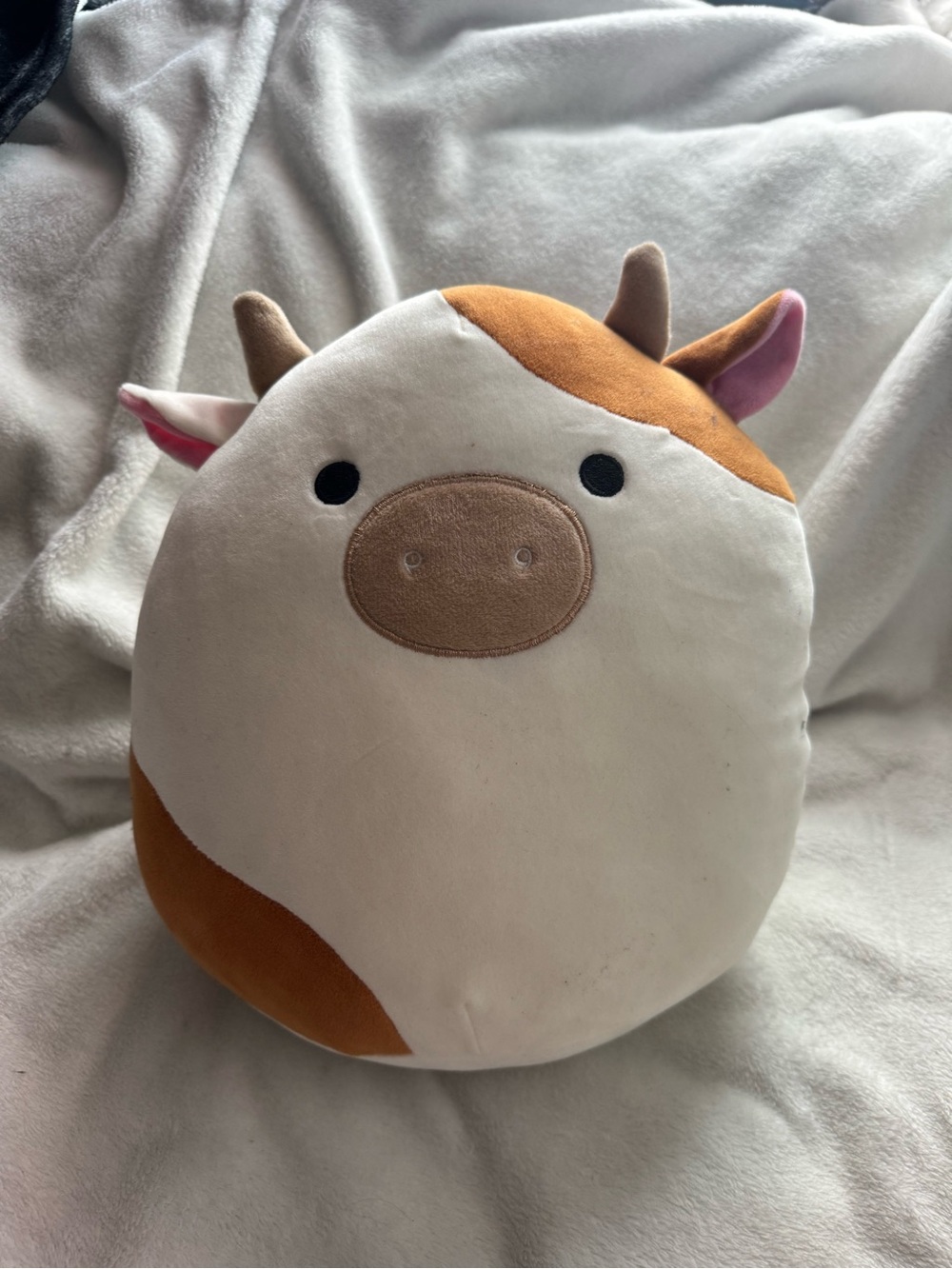Squishmallows Cow Plush - Cream and Brown